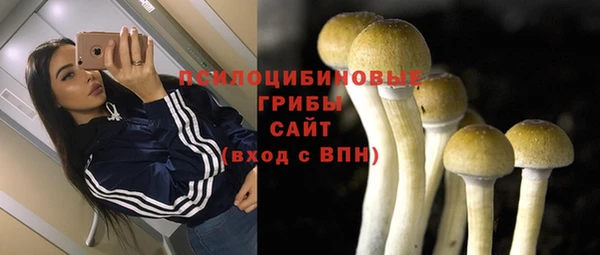 мет Сатка