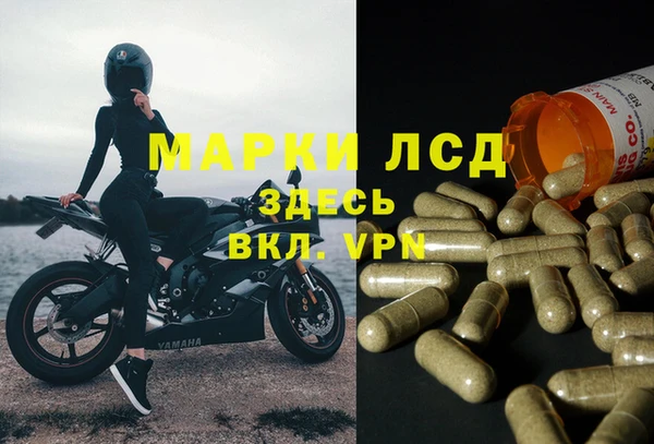 бошки Алексин