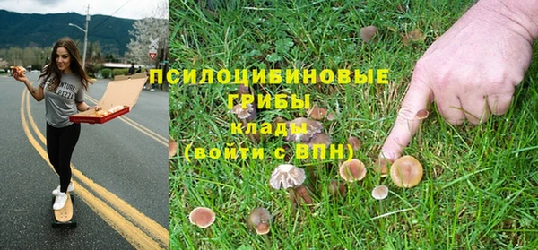 бошки Алексин