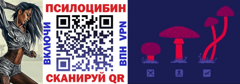 Галлюциногенные грибы MAGIC MUSHROOMS Болохово